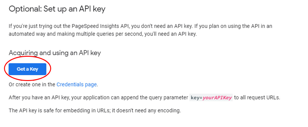 Set up PageSpeed Insights API key